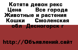 Котята девон рекс › Цена ­ 1 - Все города Животные и растения » Кошки   . Смоленская обл.,Десногорск г.